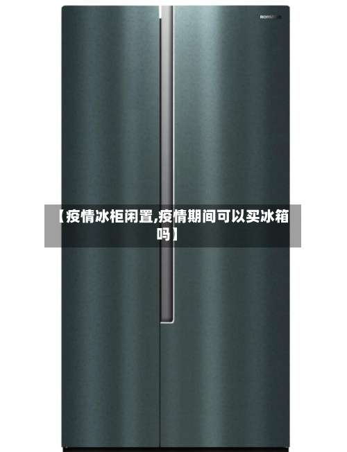 【疫情冰柜闲置,疫情期间可以买冰箱吗】-第2张图片