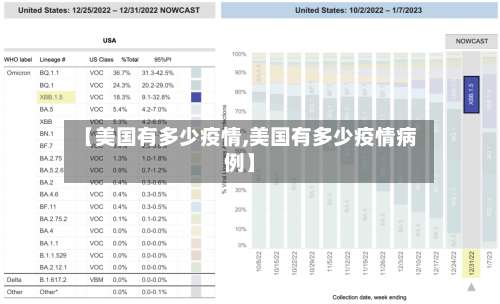 【美国有多少疫情,美国有多少疫情病例】-第3张图片
