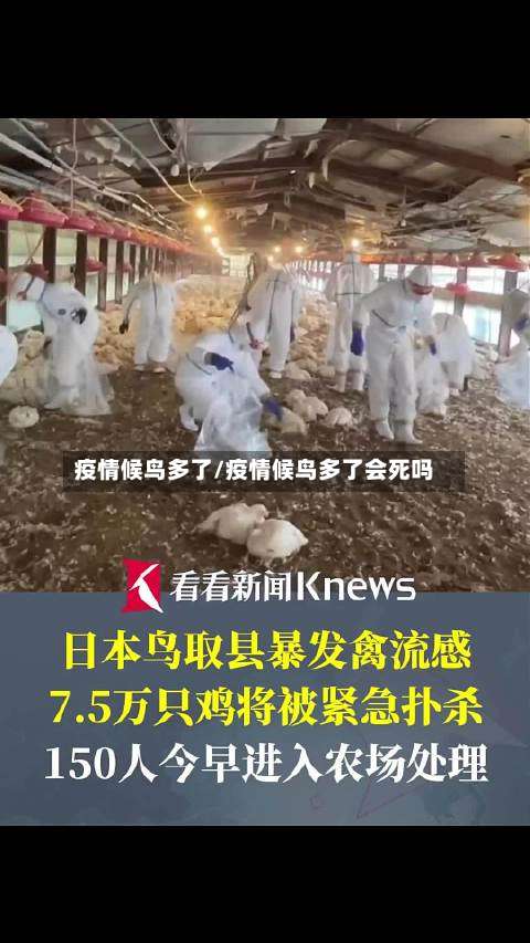 疫情候鸟多了/疫情候鸟多了会死吗-第2张图片