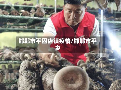 邯郸市平固店镇疫情/邯郸市平乡-第2张图片