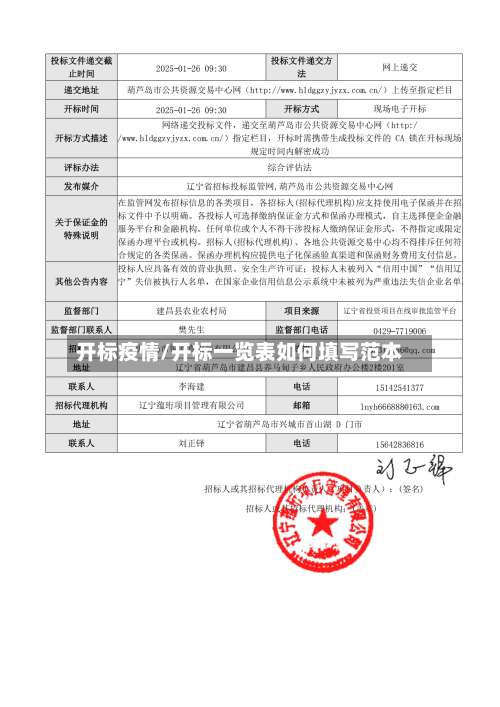 开标疫情/开标一览表如何填写范本