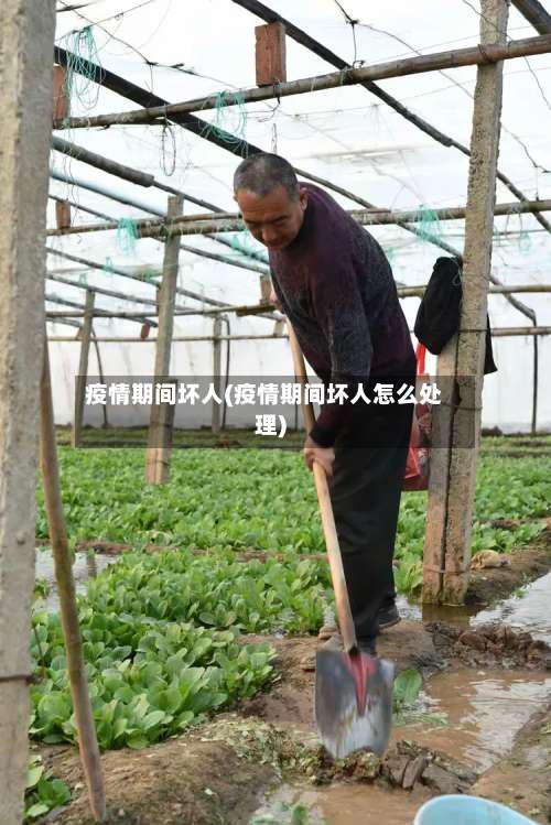 疫情期间坏人(疫情期间坏人怎么处理)