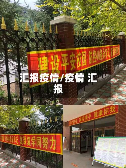 汇报疫情/疫情 汇报-第2张图片