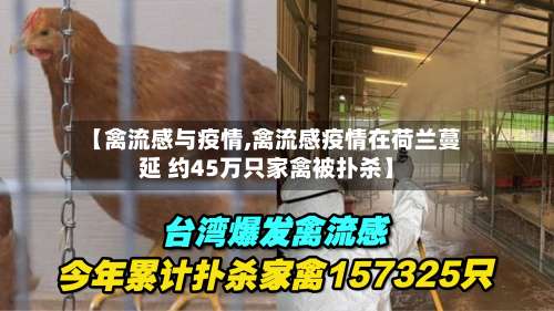 【禽流感与疫情,禽流感疫情在荷兰蔓延 约45万只家禽被扑杀】-第3张图片