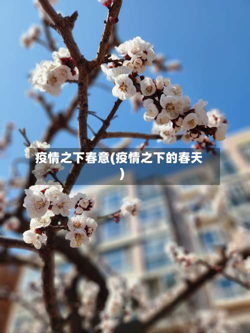 疫情之下春意(疫情之下的春天)-第3张图片