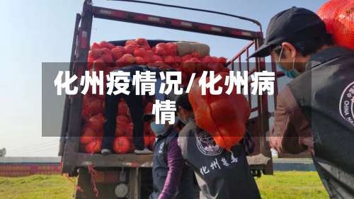 化州疫情况/化州病情-第3张图片
