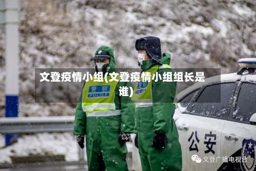 文登疫情小组(文登疫情小组组长是谁)-第2张图片