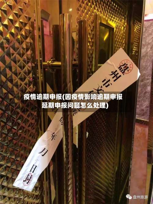 疫情逾期申报(因疫情影响逾期申报延期申报问题怎么处理)