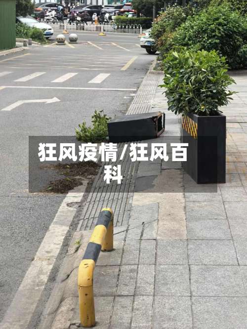 狂风疫情/狂风百科