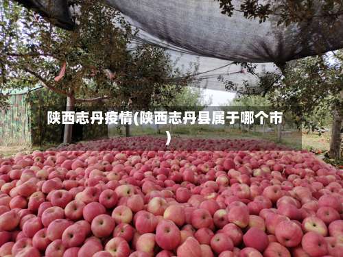 陕西志丹疫情(陕西志丹县属于哪个市)-第2张图片