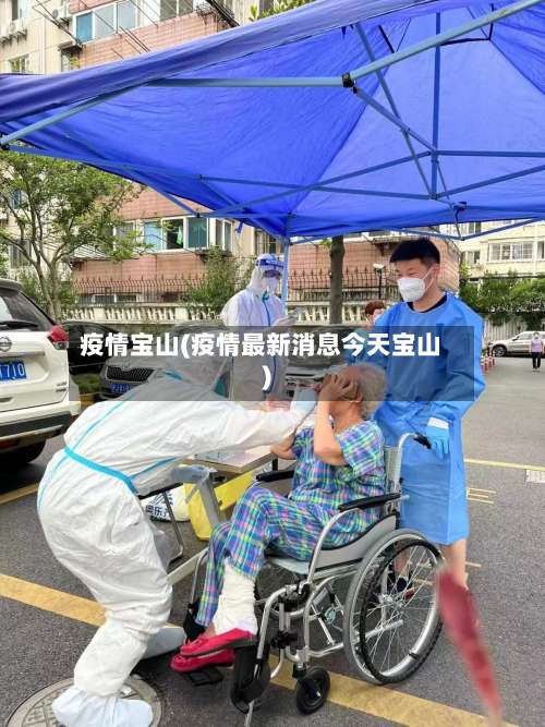 疫情宝山(疫情最新消息今天宝山)