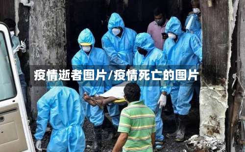 疫情逝者图片/疫情死亡的图片
