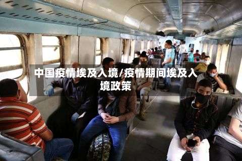 中国疫情埃及入境/疫情期间埃及入境政策-第3张图片