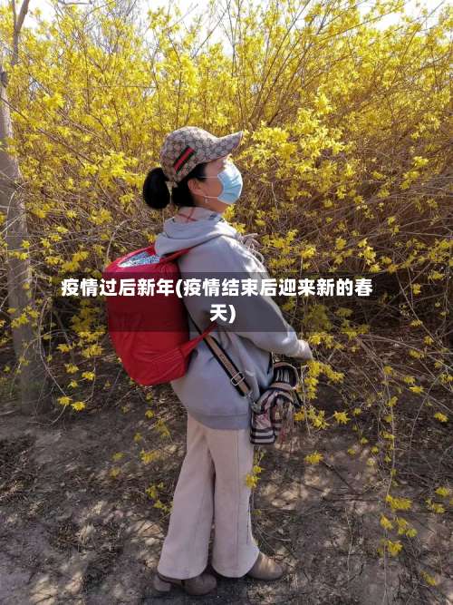 疫情过后新年(疫情结束后迎来新的春天)-第2张图片