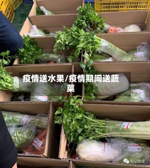疫情送水果/疫情期间送蔬菜