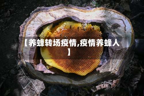 【养蜂转场疫情,疫情养蜂人】-第2张图片