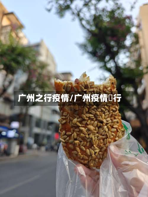 广州之行疫情/广州疫情岀行