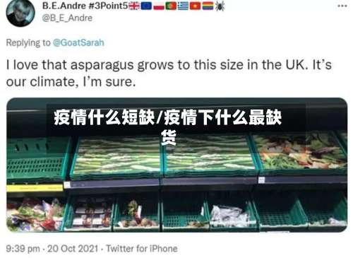 疫情什么短缺/疫情下什么最缺货
