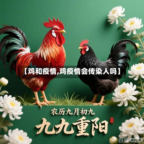 【鸡和疫情,鸡疫情会传染人吗】-第3张图片