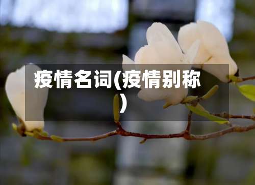疫情名词(疫情别称)