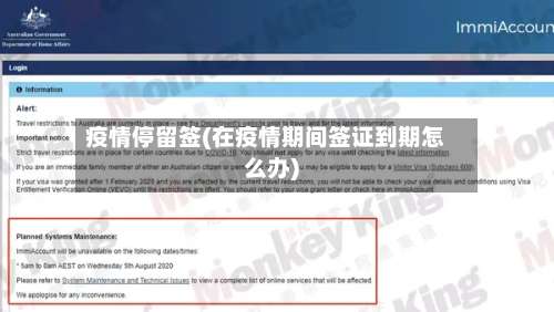 疫情停留签(在疫情期间签证到期怎么办)-第2张图片