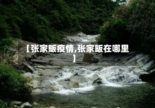 【张家畈疫情,张家畈在哪里】-第3张图片