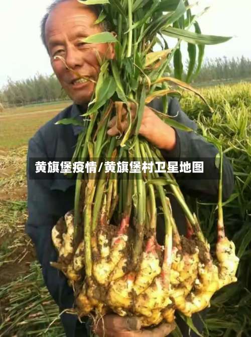 黄旗堡疫情/黄旗堡村卫星地图-第2张图片