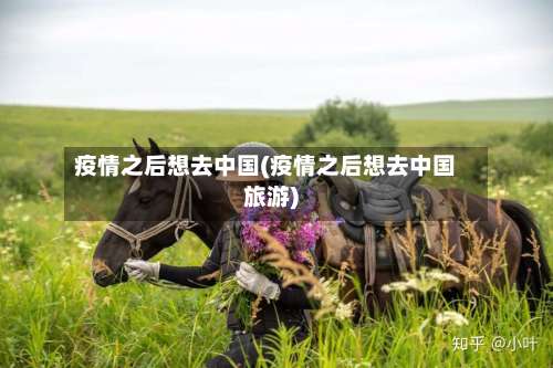 疫情之后想去中国(疫情之后想去中国旅游)-第3张图片