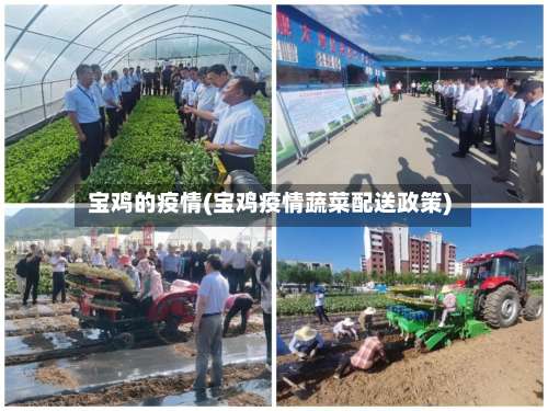 宝鸡的疫情(宝鸡疫情蔬菜配送政策)-第2张图片