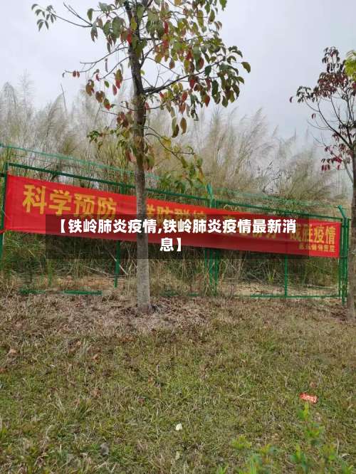 【铁岭肺炎疫情,铁岭肺炎疫情最新消息】-第3张图片