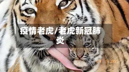 疫情老虎/老虎新冠肺炎