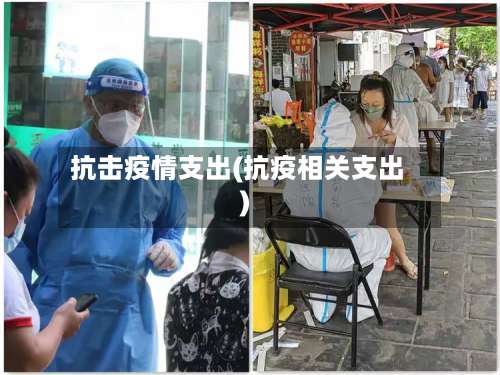 抗击疫情支出(抗疫相关支出)