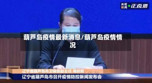 葫芦岛疫情最新消息/葫芦岛疫情情况-第2张图片