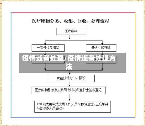 疫情逝者处理/疫情逝者处理方法