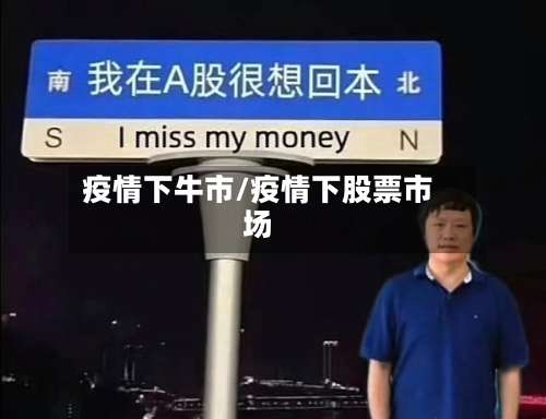 疫情下牛市/疫情下股票市场