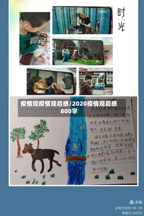 疫情观疫情观后感/2020疫情观后感800字-第3张图片