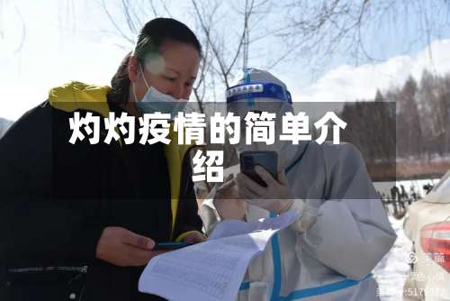 灼灼疫情的简单介绍-第2张图片