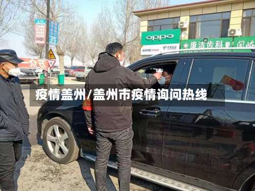 疫情盖州/盖州市疫情询问热线-第3张图片