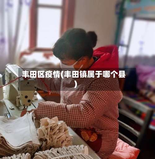 丰田区疫情(丰田镇属于哪个县)