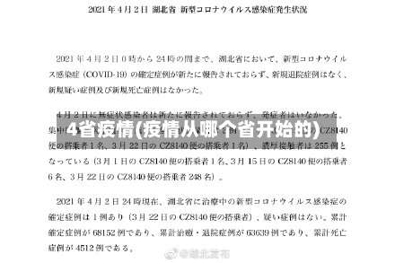 4省疫情(疫情从哪个省开始的)
