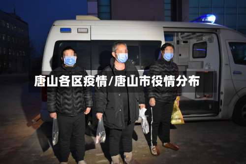 唐山各区疫情/唐山市役情分布