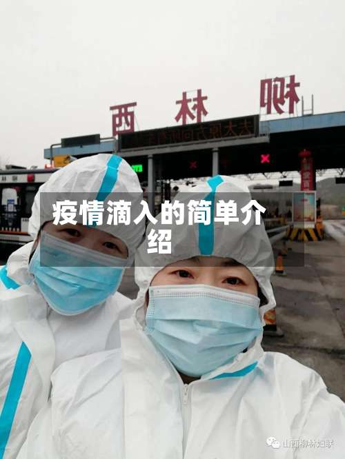 疫情滴入的简单介绍