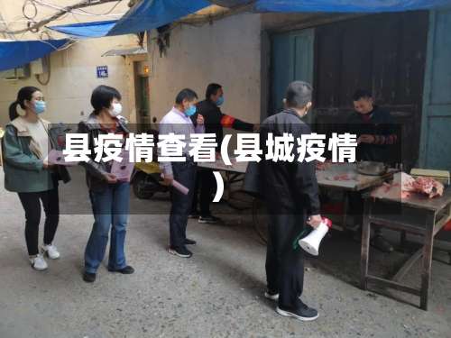县疫情查看(县城疫情)-第2张图片