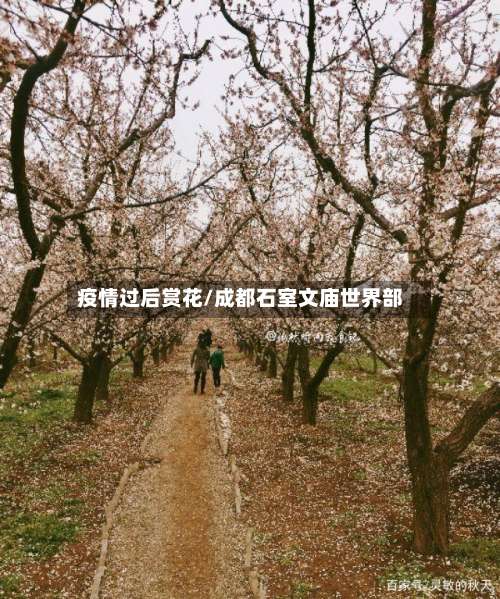 疫情过后赏花/成都石室文庙世界部