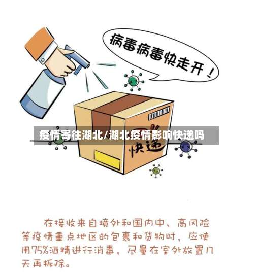 疫情寄往湖北/湖北疫情影响快递吗-第2张图片