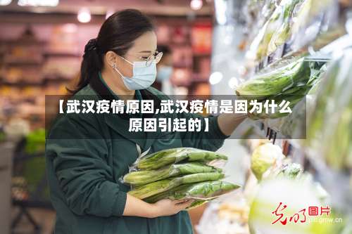 【武汉疫情原因,武汉疫情是因为什么原因引起的】