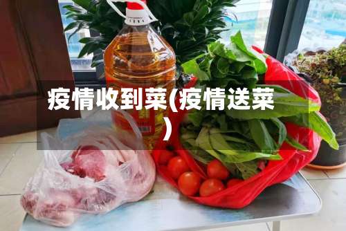 疫情收到菜(疫情送菜)