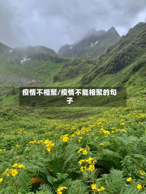 疫情不相聚/疫情不能相聚的句子