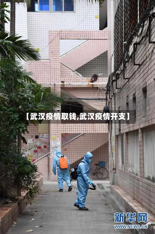 【武汉疫情取钱,武汉疫情开支】