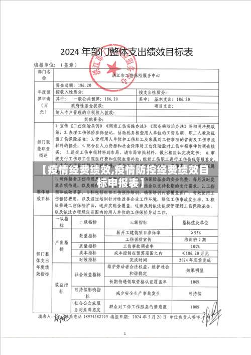 【疫情经费绩效,疫情防控经费绩效目标申报表】